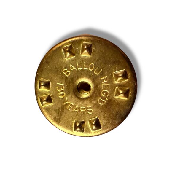 Vintage Texas Order of the Eastern Star Lapel Pin Gold Tone Blue White Enamel - Picture 5 of 6